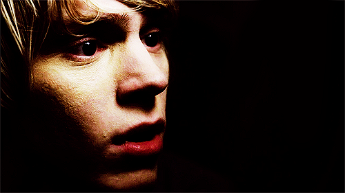 I look at at least a thousand Evan Peters pictures a day,