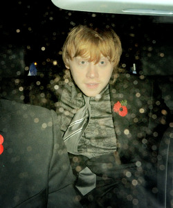 thecastofhp:  rupert daily on We Heart It. http://weheartit.com/entry/19842693