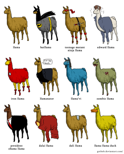 meow-ijuana:  llama time 