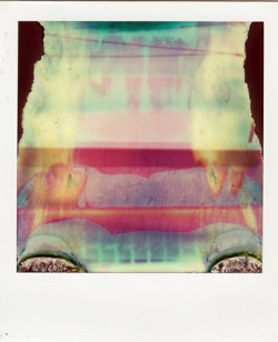 aliisonwonderland:  shiborilover:   Ruined Polaroids by William