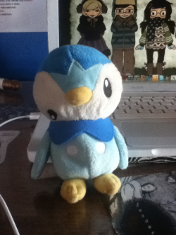 kinokoren:  My sister bought this piplup plushie a few year ago