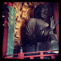 mercurywandering:  The largest Buddha statue in Japan (Taken