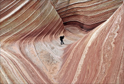 northmagneticpole:  The Wave, Coyote Buttes North, Paria Canyon,