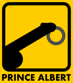 adresseraujus:  pierced-is-best:  homosigns:  Prince Albert (bigger)