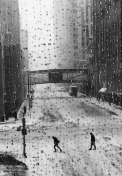 liquidnight:  Marc Riboud Minneapolis, 2006 [via Le Clown Lyrique]