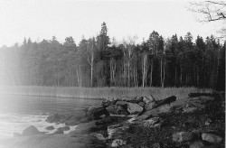 udødelighet