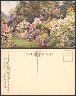 wallacegardens:  George Samuel Elgood. Postcard: The Herbaceous