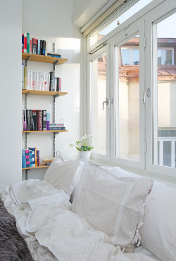 mandarintree:  The windows, the bed, the bookshelf, this is perfection