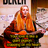  Character Photoset: Phoebe Buffay Smelly cat, smelly cat, what are they feeding you. Smelly cat, smelly cat, itâ€™s not your fault. 