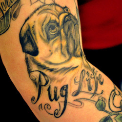 fuckyeahtattoos:  Tattoo of “Pug Life” done by Aimee Cornwell