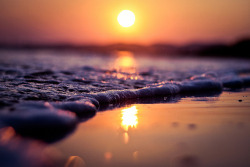Sweet Escape