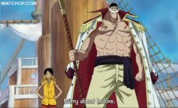 mugiwara-no-ichimi:  Luffy: Sorry about before. Whitebeard: Don’t