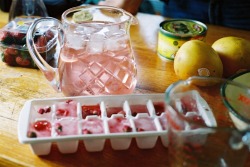 andhoneytheresnohurry:  Rose cocktails with raspberry rosebud
