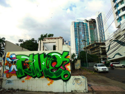 narwhalnancy:  comecueritos:  RIME IN PANAMA CITY, PANAMA by