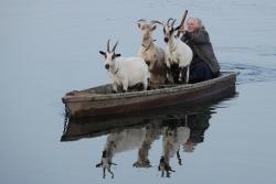 teratomarty:Whatever floats your goats!