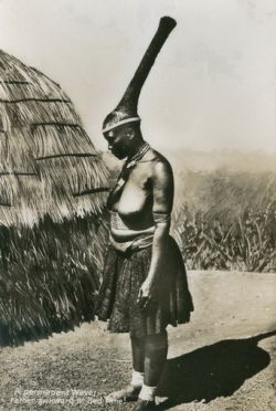 matrixbotanica:  Zulu woman 