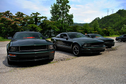 puremuscle:  2008 Mustang Bullitts (by The Rob Carter)