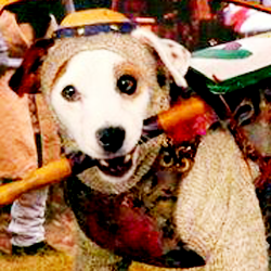 When you’re ten and got your nose in a big thick book like ‘A Tale of Two Cities’ at recess all the time, you tend to get teased. But not if Wishbone said it was cool (and it was!) Thank you, Wishbone, for introducing me to the wonderful