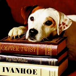 When you’re ten and got your nose in a big thick book like ‘A Tale of Two Cities’ at recess all the time, you tend to get teased. But not if Wishbone said it was cool (and it was!) Thank you, Wishbone, for introducing me to the wonderful