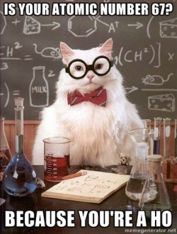 the-absolute-funniest-posts:  megustamemes: Chemistry Cat Follow