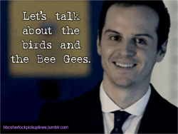 “Let’s talk about the birds and the Bee Gees.”