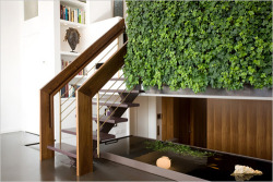 c-a-r-g-o:  o-x-y-g-e-n:  dream house  i love ivy indoors <3