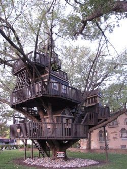 yoursecretinception:  I told my parents I wanted a tree house