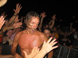 Memphis iggy pop