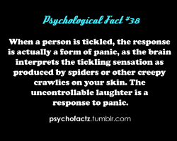 PsychoFact - Fun, interesting, and weird facts!