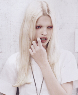 mood board