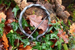 wotanswolf:  thedeerandtheoak: Hand-forged Viking Brooch II 