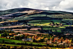 curiae:  This Land by Michelle in Ireland on Flickr. 