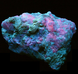 pyrrhic-victoria:  wasthatdejavu-dejavu: UVfluorescent minerals