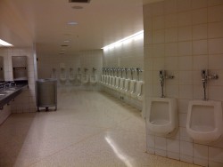 eternityofsmiles:  I’ve died and gone to urinal heaven. 