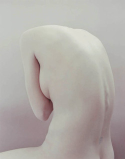 de-wood:  by Nadav Kander 