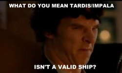 angryfanboysherlock:  Submitted by:Â atlantisgallifrey  Angry