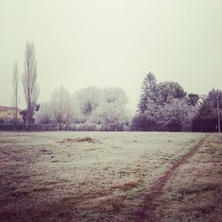 Broxema, Veneto[Italy]- 2012 (Taken with Instagram at Solita
