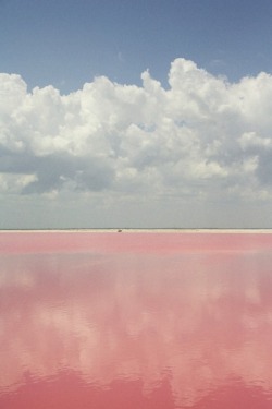 twi-nkle:  pink lemonade ocean? :o 