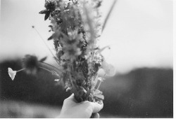 Memoirs of a Bacchante