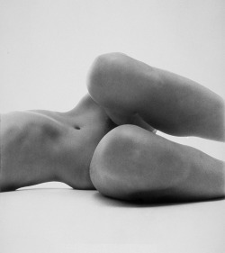 ocn:  Irving Penn Nude #58, 1949-50 at the Metropolitan Museum