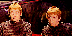a-bellisarios:  Fred and George Weasley | year 1—7 