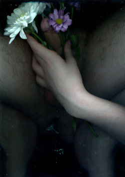 mystinkinbrain:  i’ve bought you some flowers on Flickr. 