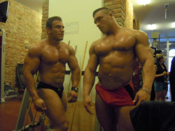 muscle-nerd:  Wesley Gasparotto and Roman Fritz 