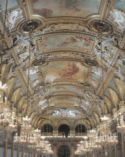 lavandula:  dries van noten autumn/winter 2010 runway ceiling 