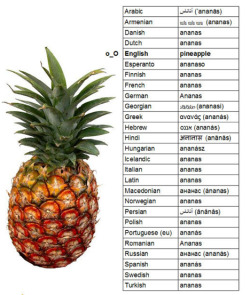  -Sir, we’ve found this and we needed you to name it. -Pineapple.