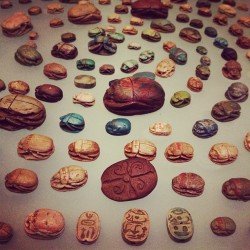 bankclothing:  Scarabs  (Taken with instagram) 