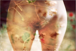 felizpaloma:  sifvika:  another nude double exposure - reblogged