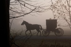 The Polluted Shades of Pemberley