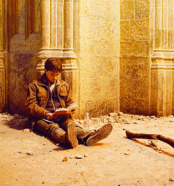 potterisahorcrux:  Harry reading. 