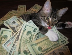 cashcats:  i would go out 2nite but i haven’t got a stitch